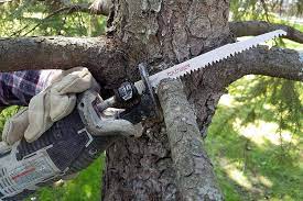 How to Safely Cut Down a Tree with a Reciprocating Saw